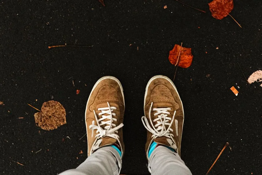 Jungla Chaussures Chaussures